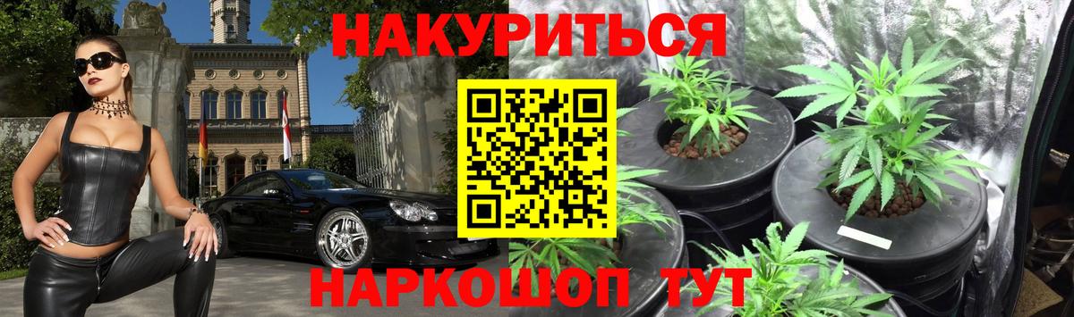 Бошки Шишки Bruce Banner  Вход с VPN  Канабис ГИДРОПОН  Каннабис семена  Каннабис планчик  Азов 